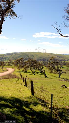 Windfarm, SA. 